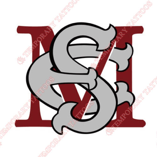 Maryland Eastern Shore Hawks Customize Temporary Tattoos Stickers NO.4985